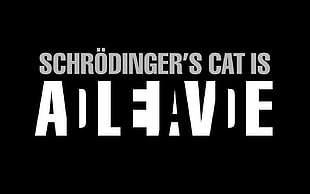 black background with schrodingers text overlay, science, quote, text, Schrodinger