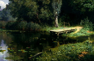 wooden dock near body of water