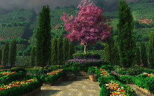 photograph of pink leaf tree on green garden