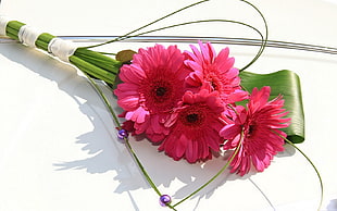 four pink flower bouquet HD wallpaper
