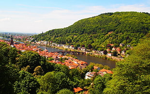 brown and white houses, nature, Neckar River, Germany, cityscape