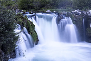 landscape photo of waterfall near green leaf trees and plants, oregon, deschutes