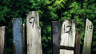 brown wooden fence with engraved numbers, Zankyou no Terror
