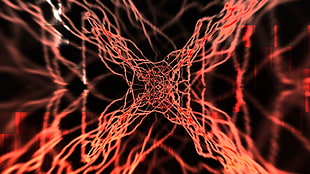 orange and black abstract artwork, abstract