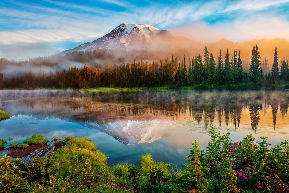 white mountain near green trees HD wallpaper