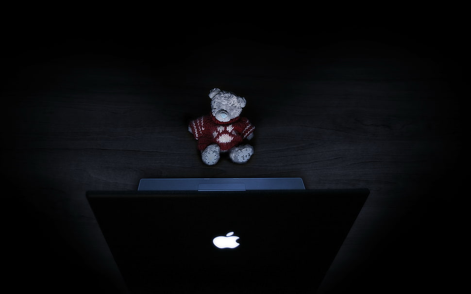 grey teddy bear in front of silver MacBook HD wallpaper