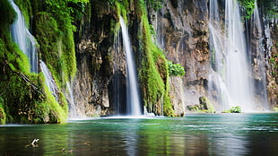 waterfall with moss, nature, water, green, grass HD wallpaper
