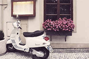white and black motor scooter beside the window