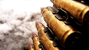 close up photography of ammunition
