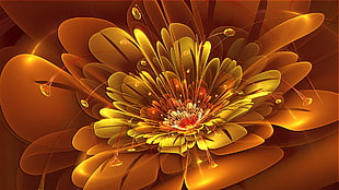 orange flower digital wallpaper