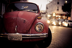 red beetle car, closeup, old car, city, Volkswagen Beetle HD wallpaper