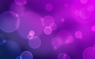 purple and pink bokeh lights digital wallpaper