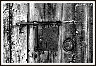 grayscale photo of door lock, monochrome, wood, texture, photography