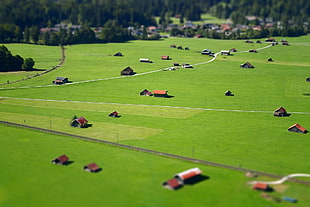 aerial photo of a green grassland with houses