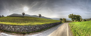 panorama photo of landscape nature, vezzano sul crostolo, italy