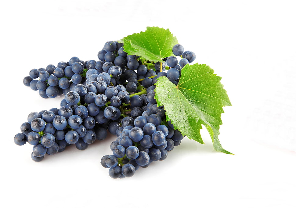 bunch of purple grapes HD wallpaper