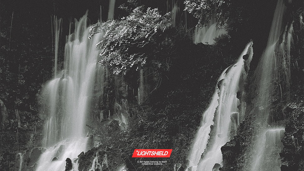 black and white The Walking Dead poster, waterfall HD wallpaper