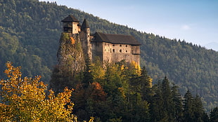 photography of gray concrete castle near top of mountain at daytime