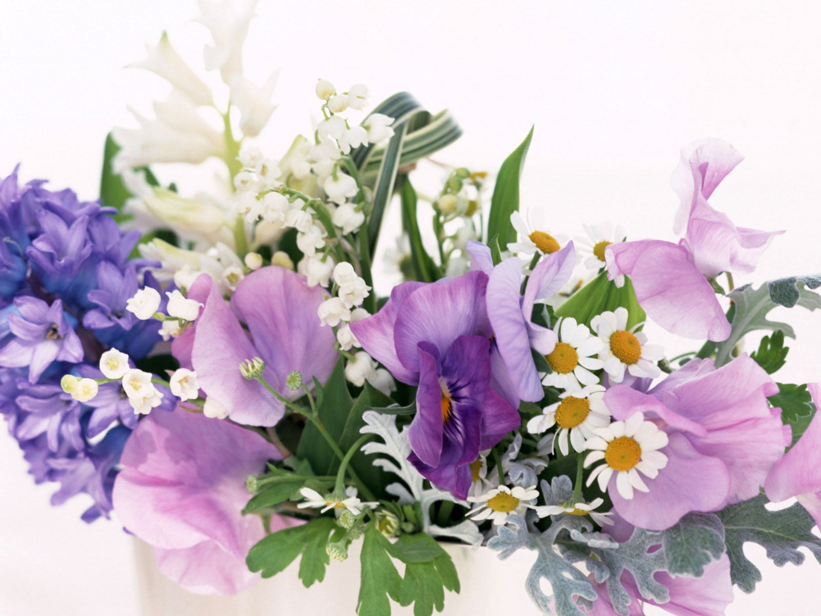 selective focus photography of purple and white petaled flowers