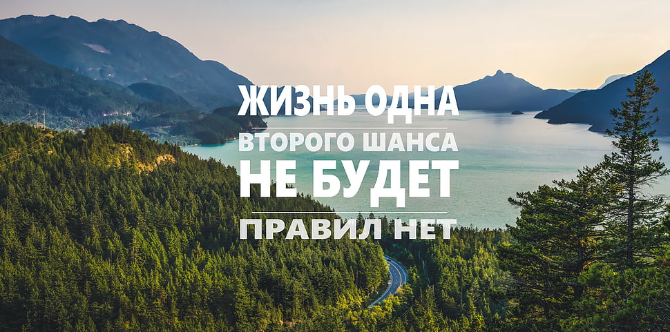 green leafed trees, quote, water, forest, Russian HD wallpaper