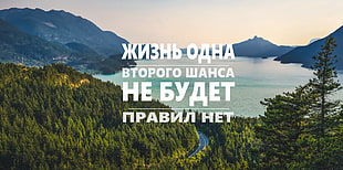 green leafed trees, quote, water, forest, Russian
