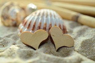 two brown heart shape on sand