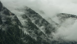 photography of mountain shrouded by clouds HD wallpaper