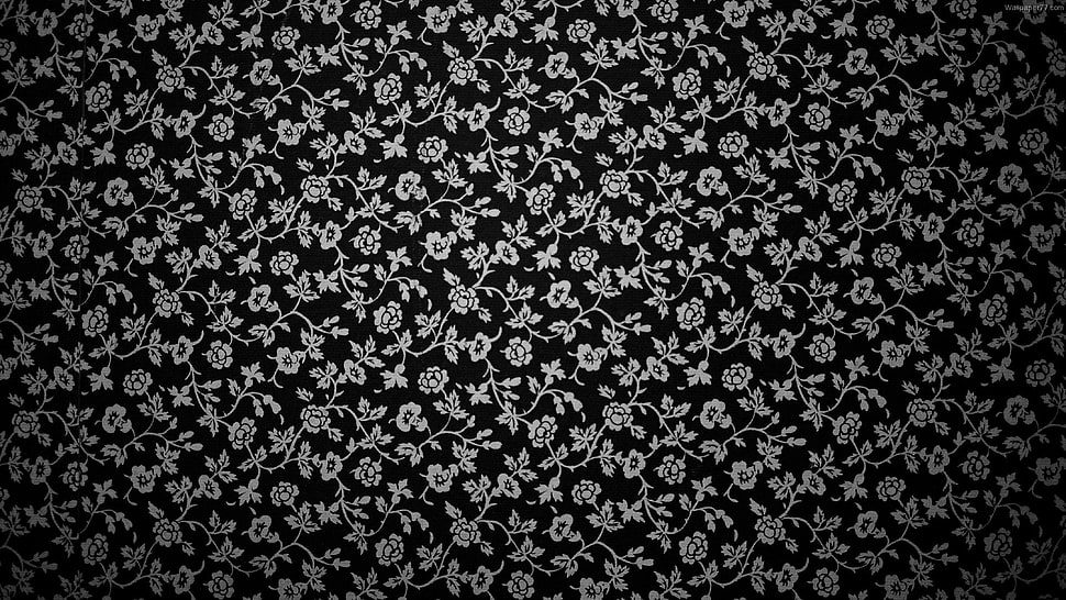 pattern, monochrome HD wallpaper