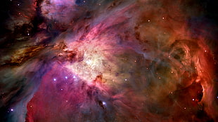 space, NASA, Hubble, Great Orion Nebula HD wallpaper