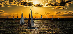 sailboats on water during golden hour HD wallpaper