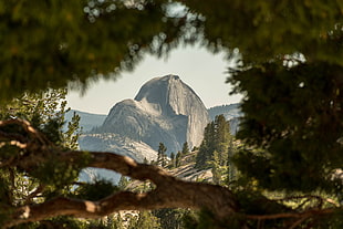 gray mountain, Half Dome, Yosemite National Park, California, USA