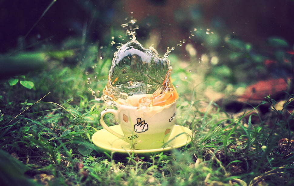 pink and green ceramic mug HD wallpaper
