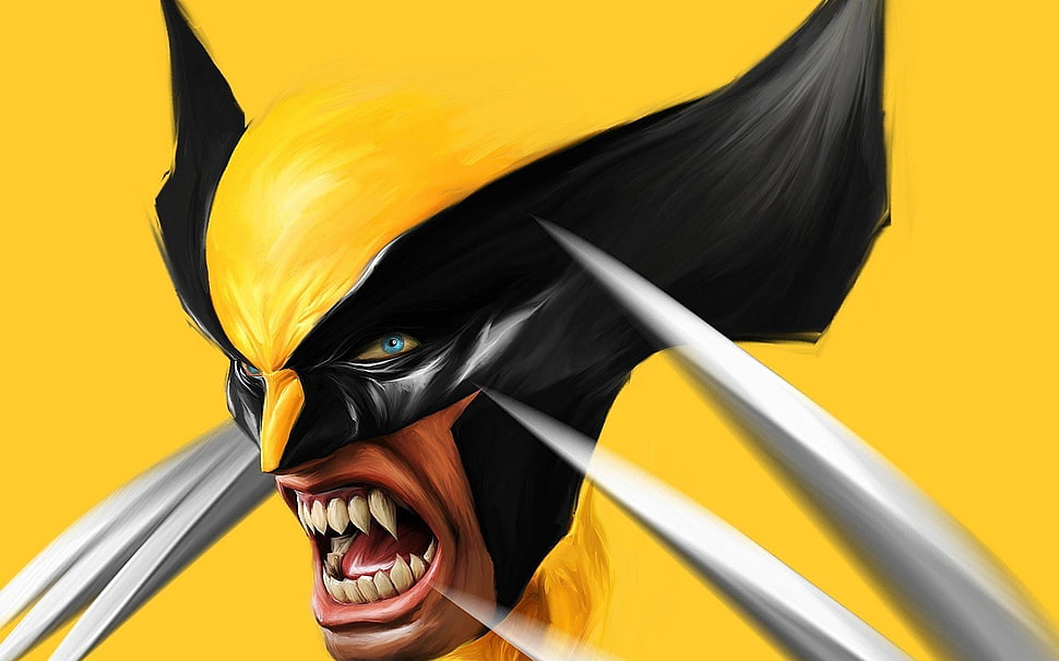 X-Men Wolverine, Wolverine, Marvel Comics, adamantium, claws HD wallpaper