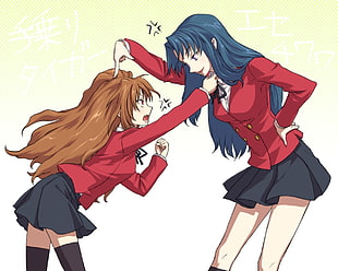 two anime girl illustration