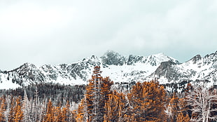snow covered mountain, Mountains, Trees, Snow-covered