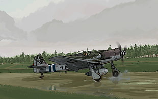 gray bi-plane illustration