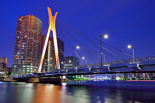 gray concrete full-suspension bridge near city buildings during nighttime