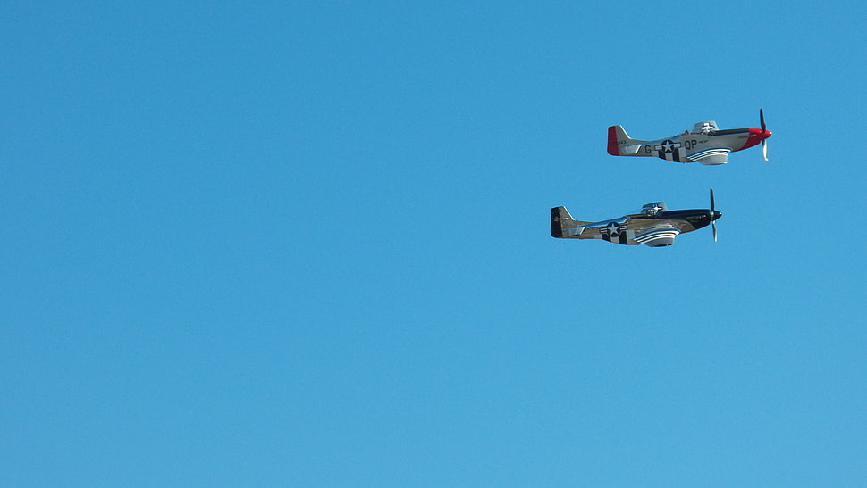 two gray airplanes, North American P-51 Mustang, Quick Silver, MONROE NC, military aircraft HD wallpaper