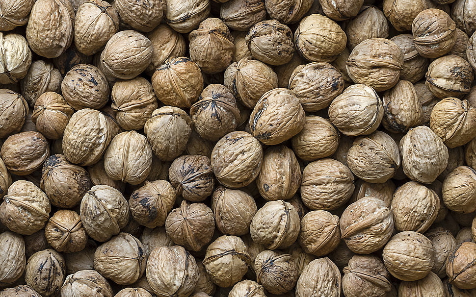 brown walnuts lot HD wallpaper