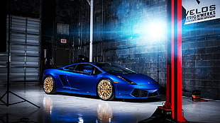 blue Lamborghini Gallardo on white floor