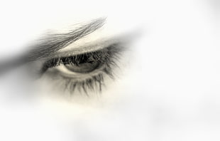 close up shot of human eye