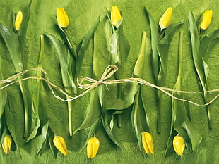 photo of brown ribbon tie and green vegetables