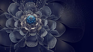 gray adn blue flower illustration, abstract, fractal, fractal flowers