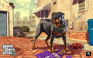 Grand Theft Auto Five Rottweiler wallpaper HD wallpaper