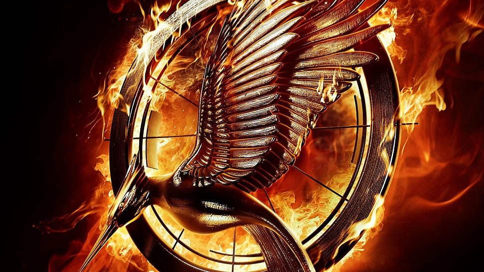 The Hunger Games Mocking Jay Catching Fire poster, The Hunger Games, movies  HD wallpaper | Wallpaper Flare