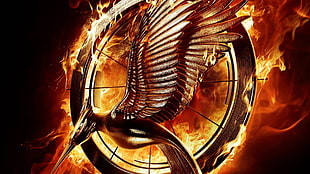 The Hunger Games Mocking Jay Catching Fire poster, The Hunger Games, movies