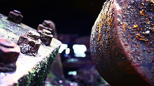 closeup photography of brown metal part, metal, screw, train, rust