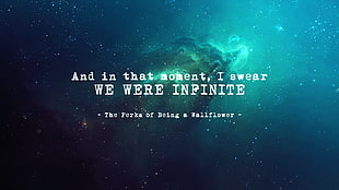 and in that moment, I sear we were infinite text, The Perks of Being a Wallflower, universe, quote, Novels