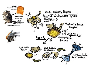 cat illustration, cat, humor, physics HD wallpaper