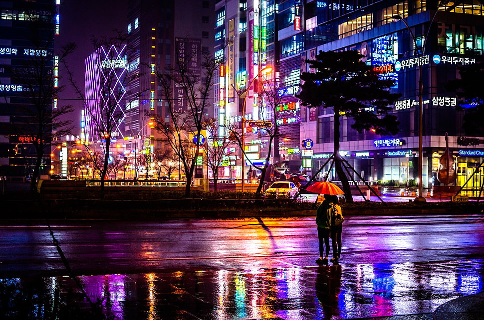 orange umbrella, cityscape, umbrella, South Korea, night HD wallpaper